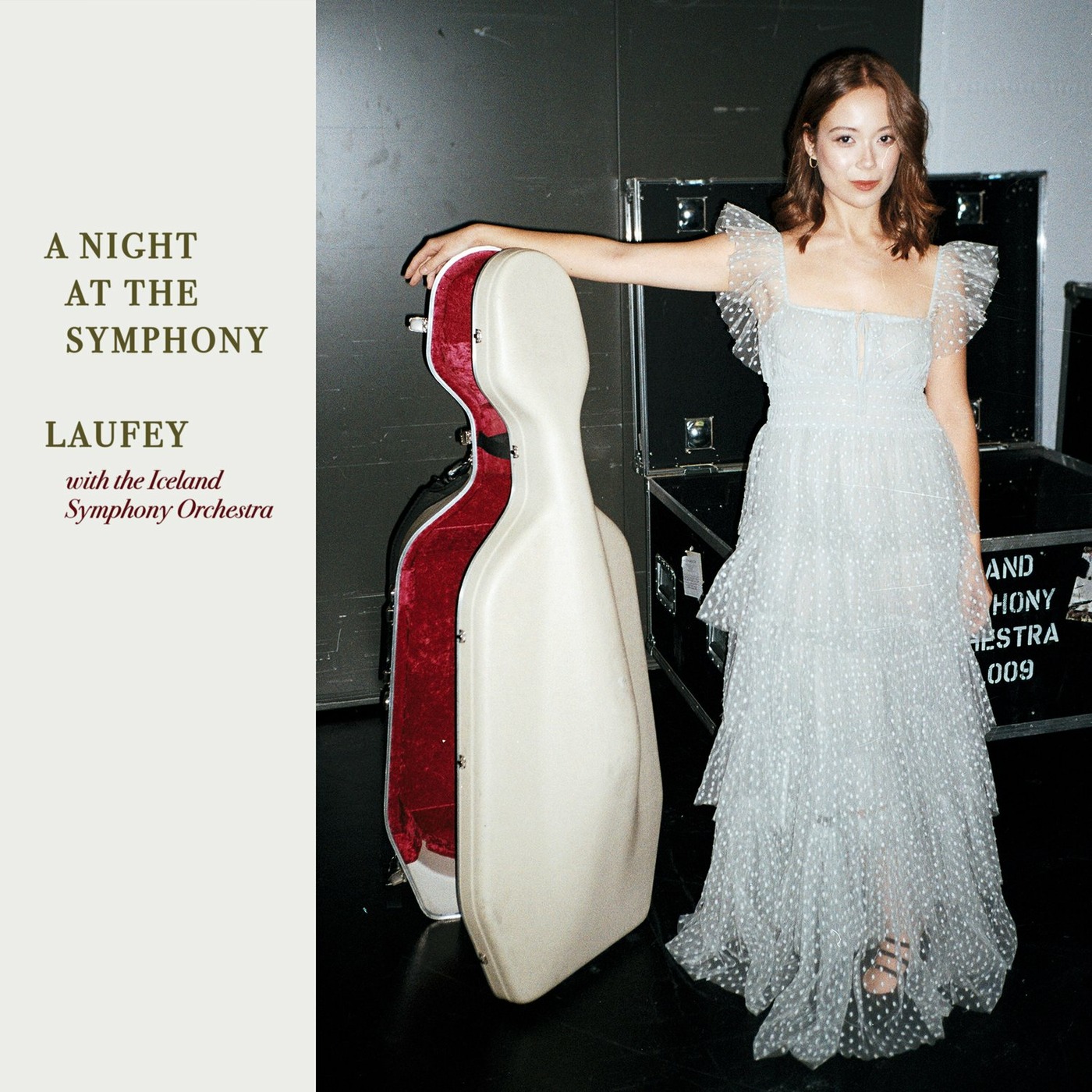 A Night At The Symphony Cover Art